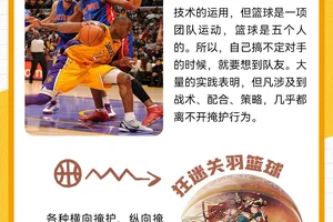 如何利用反馈提升篮球防守能力:深入探讨与实用策略